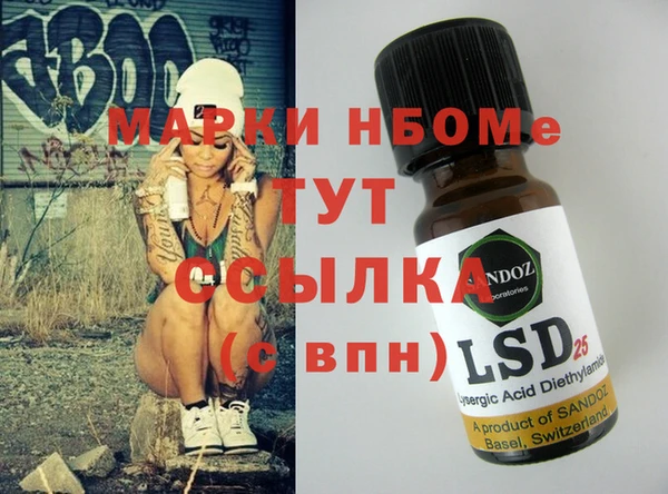 индика Баксан