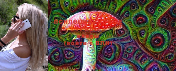 индика Баксан