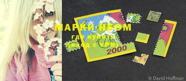 индика Баксан
