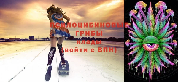 индика Баксан