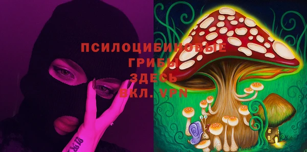 индика Баксан