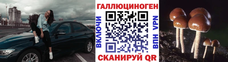 Псилоцибиновые грибы Psilocybine cubensis  Кубинка 
